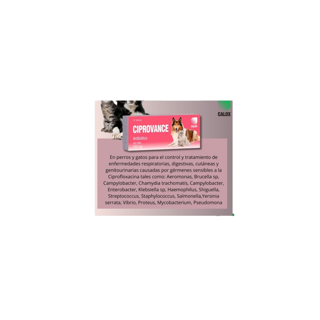 CIPROVANCE CALOX   CAJA X 10 TABLETAS