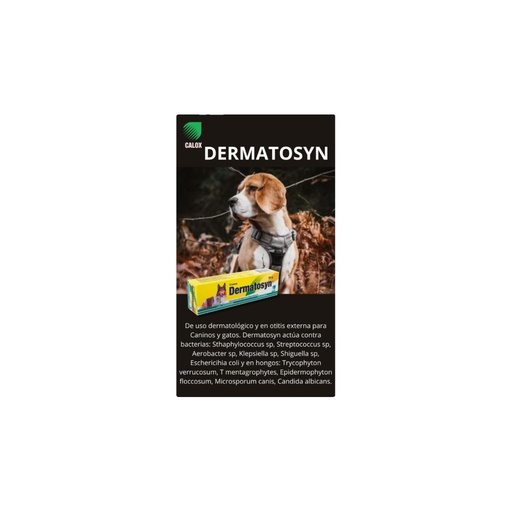 DERMATOSYN CALOX  TUBO X 40 g